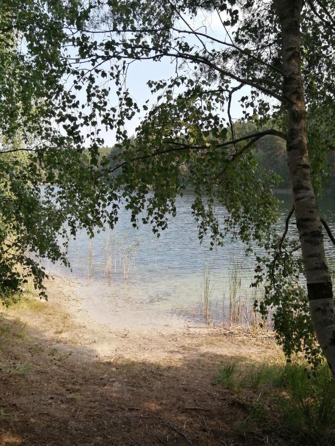 Spreewaldhaeuser Golinski Mit Kamin Am Neuendorfer See Alt Schadow Exterior foto
