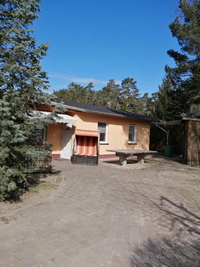 Spreewaldhaeuser Golinski Mit Kamin Am Neuendorfer See Alt Schadow Exterior foto