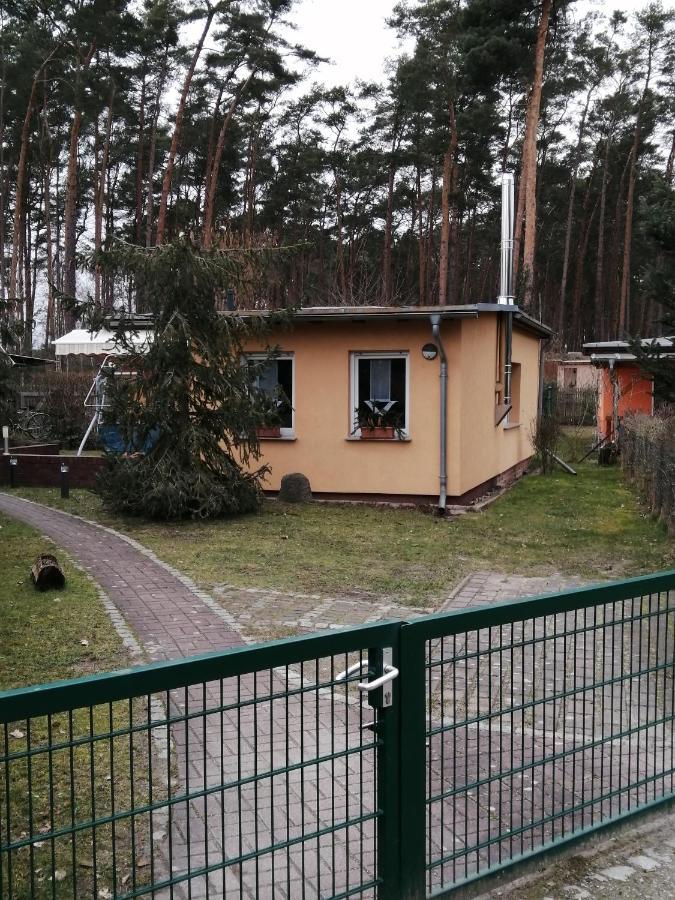 Spreewaldhaeuser Golinski Mit Kamin Am Neuendorfer See Alt Schadow Exterior foto