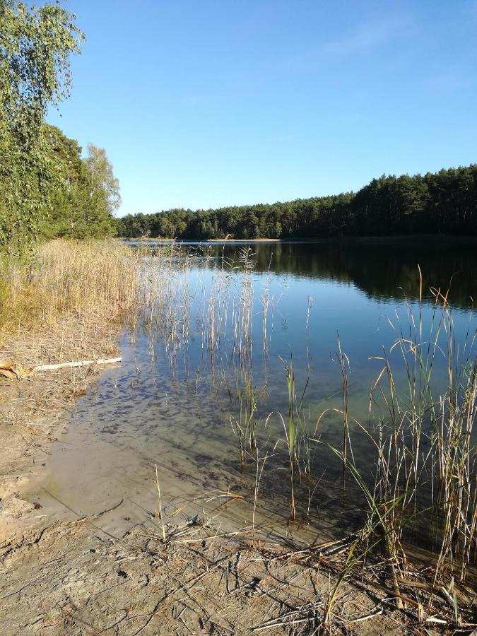 Spreewaldhaeuser Golinski Mit Kamin Am Neuendorfer See Alt Schadow Exterior foto